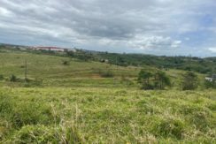 Terreno em Vitória de Santo Antão, 820m2