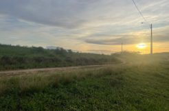 Terreno em Vitória de Santo Antão, 820m2