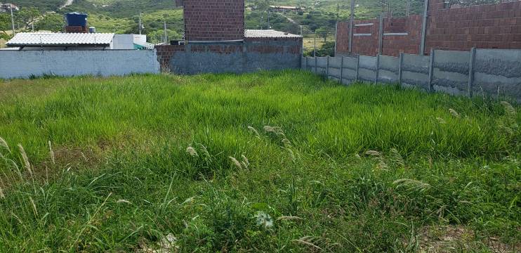 Vendo lote de terreno possui 250 metros quadrados em Cruzeiro – Gravatá – PE