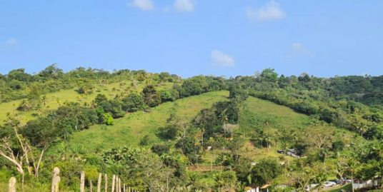 Sitio para Venda em Igarassu