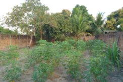 Vende-se Lote Terreno em Igarassu/PE