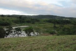 Lote/Terreno para venda – Prive Fazendas Green Valley – Vitória de Santo Antão PE
