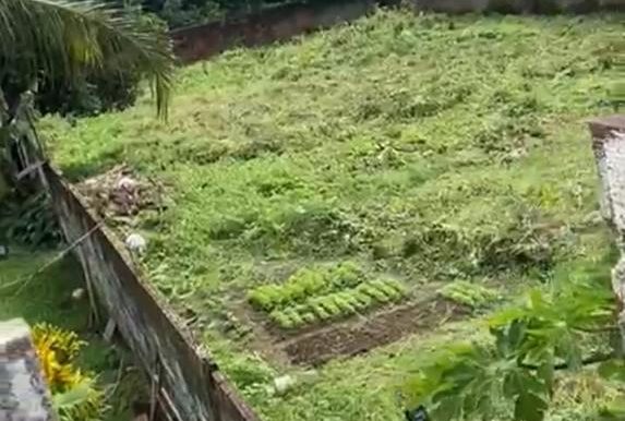 WhatsApp Image 2025-05-13 at 11.35.05 (1)