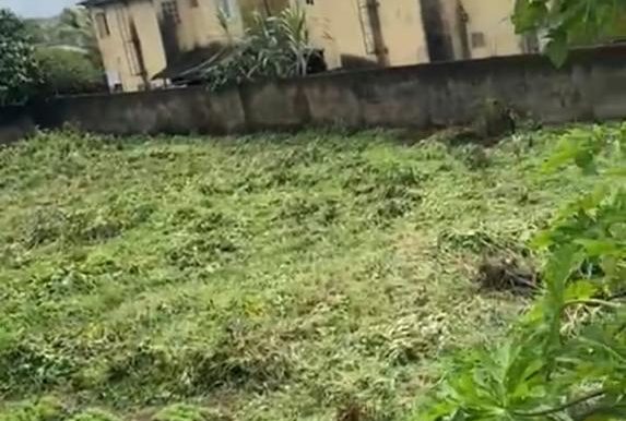 WhatsApp Image 2025-05-13 at 11.35.05 (4)