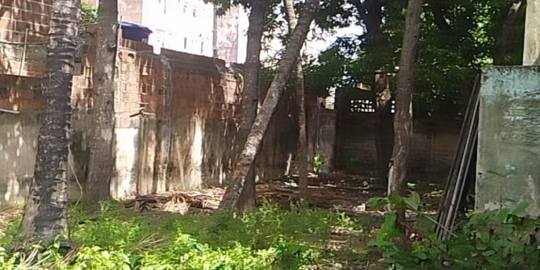 WhatsApp Image 2025-06-09 at 11.45.40