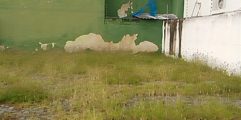 WhatsApp Image 2025-06-17 at 11.42.36 (1)