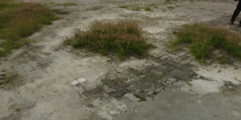 WhatsApp Image 2025-06-17 at 11.42.37 (3)